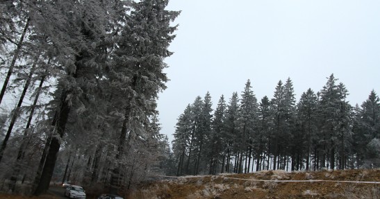 Rajd Cieszyńska Barbórka
